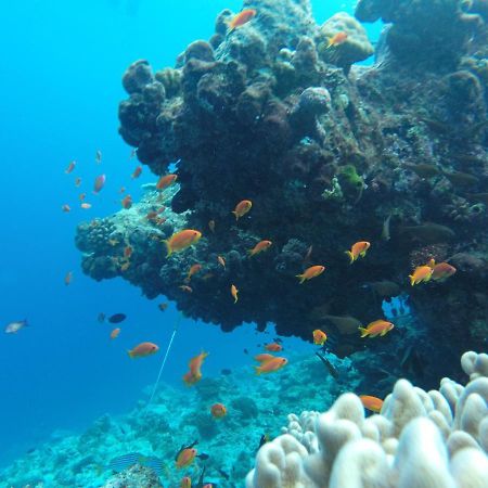 Rasdhoo Coralville Εξωτερικό φωτογραφία