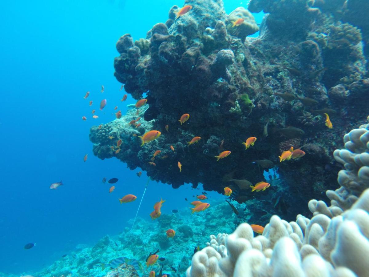 Rasdhoo Coralville Εξωτερικό φωτογραφία